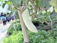 -新地休闲农场