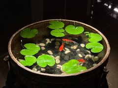 -曲水兰亭(北京四惠店)