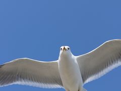 -银沙滩浴场