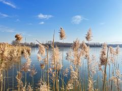 -野鸭湖国家湿地公园