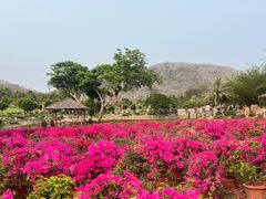 -三亚南山文化旅游区