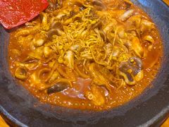 八爪鱼微辣-红辣椒八爪鱼特色韩国料理