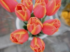 -三圣花乡旅游区