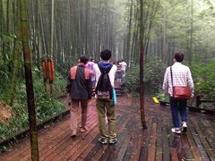 -天目湖山水园