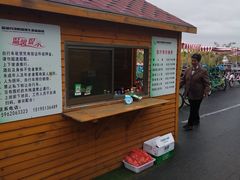 -盐城丹顶鹤湿地生态旅游区