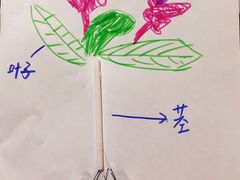 -斯坦星球AI编程·机器人科创·乐高科学·信奥·思维·专注力·STEM·竞赛考级(高新区绿宝广场龙湖狮山天街学习中心)