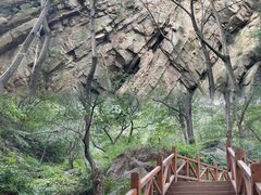 -大岭沟猕猴桃谷风景区