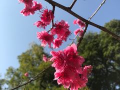 -南溪山景区