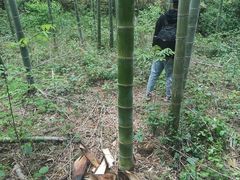 -黄公望隐居地