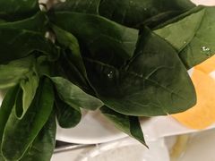-草原传奇鲜羊火锅(桥北店)