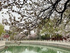 -汤阴县羑里周易博物馆
