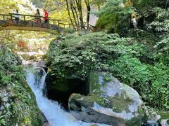 -炎陵县神农谷国家森林公园