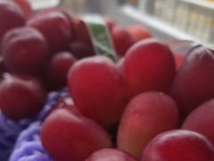 -马陆小张葡萄园农家乐