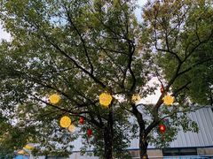 -翊宠yipet猫狗购宠庄园犬舍•猫舍