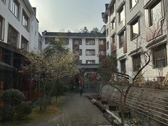 -九华山聚龙大酒店