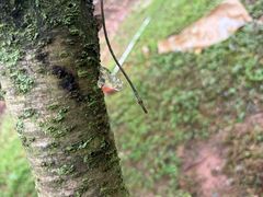 -成都老君山