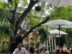 -Fern Forest Cafe
