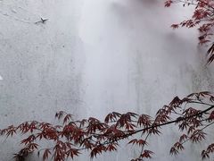 -秋霞圃