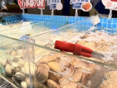 -苏宁广场·城市奥特莱斯(天府立交店)