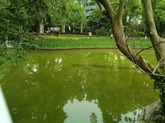-静安公园(静安寺街道)