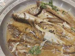 -天天鱼港·海鲜·鲅鱼水饺·招牌烤鸭(黄骅店)