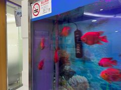 -雅悦齿科(顾村公园店)