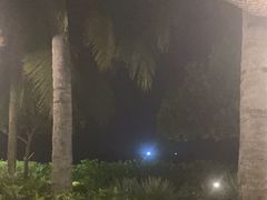 -渔家火锅·海鲜自助餐·演艺(亚龙湾天域酒店)