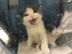 -惠康宠物医院(华能路店)