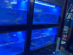 -庞家烧烤客栈(炮台山店)