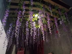 -Cocodemer 产后恢复中心(多伦路店)