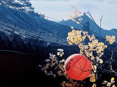 -潭柘寺景区