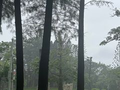 -四海公园(南山区)