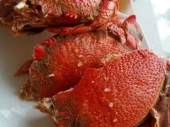 -视界美食自助餐厅·石家庄希尔顿酒店