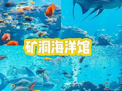 -长鹿旅游休博园