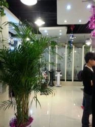 android_upload_pic-DRG达人馆造型