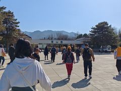 -秦始皇帝陵博物院-丽山园