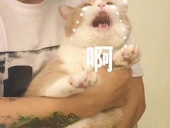 -火燒雲傣家菜(鼓楼店)