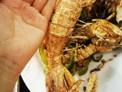 -贞姨美食·老字号海鲜大排档