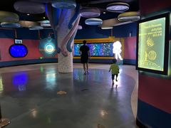 -烟台海昌鲸鲨海洋公园