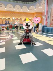 -MELAND亲子乐园•活动包场(北京亦庄龙湖天街店)