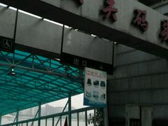 -武汉关码头(轮渡站)