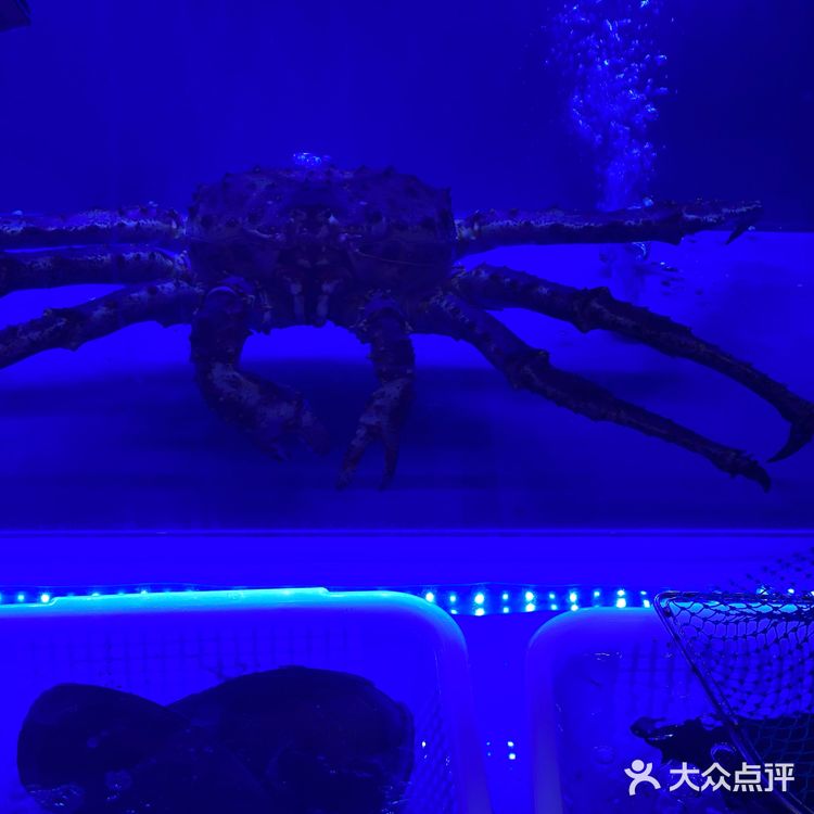 可以吃鱼饭啦潮汕菜