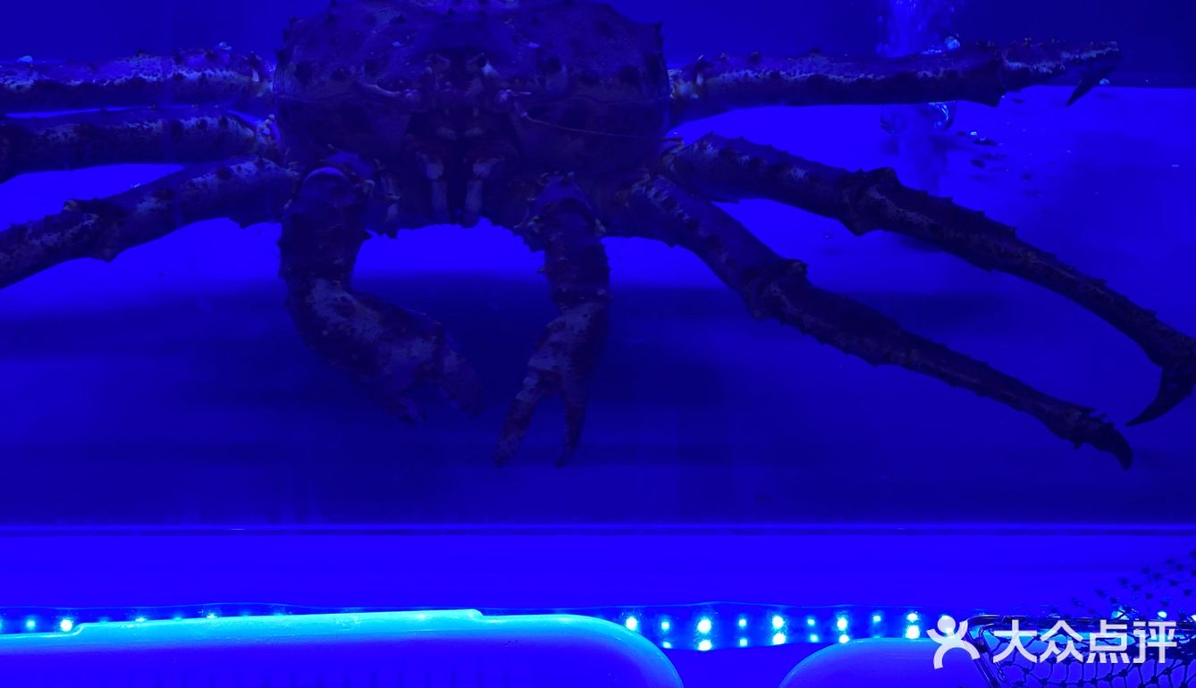 可以吃鱼饭啦潮汕菜