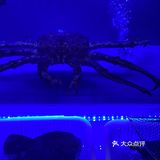 可以吃鱼饭啦潮汕菜