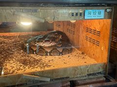 -哈尔滨北方森林动物园