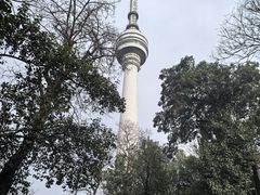-龟山风景区-龟山电视塔