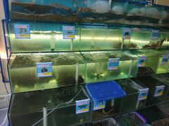 水产区-琼大师东方烤乳猪(亚特兰蒂斯店)