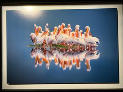 -罗红摄影艺术馆