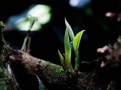 -兰剑驾校(汉阳校区)