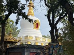 -护国法轮寺